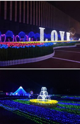 點亮夢幻世界 動植物花燈光節(jié)的魅力與彩燈制造的藝術(shù)