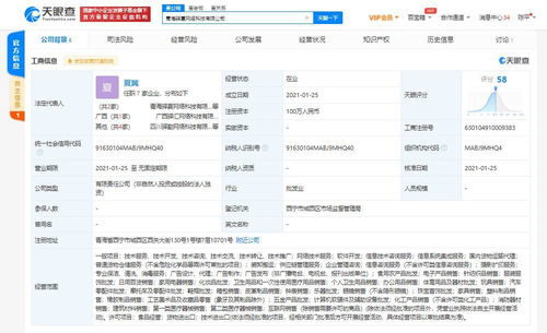 信息系統集成服務 企業(yè)數字化轉型的核心引擎